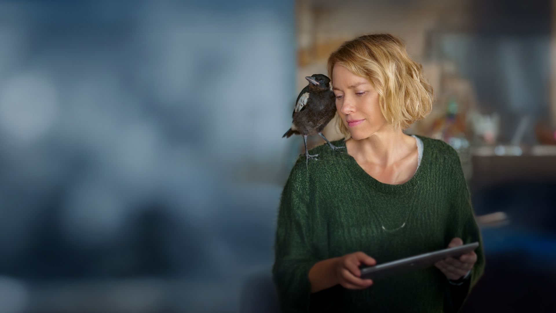 Beflügelt - Ein Vogel namens Penguin Bloom