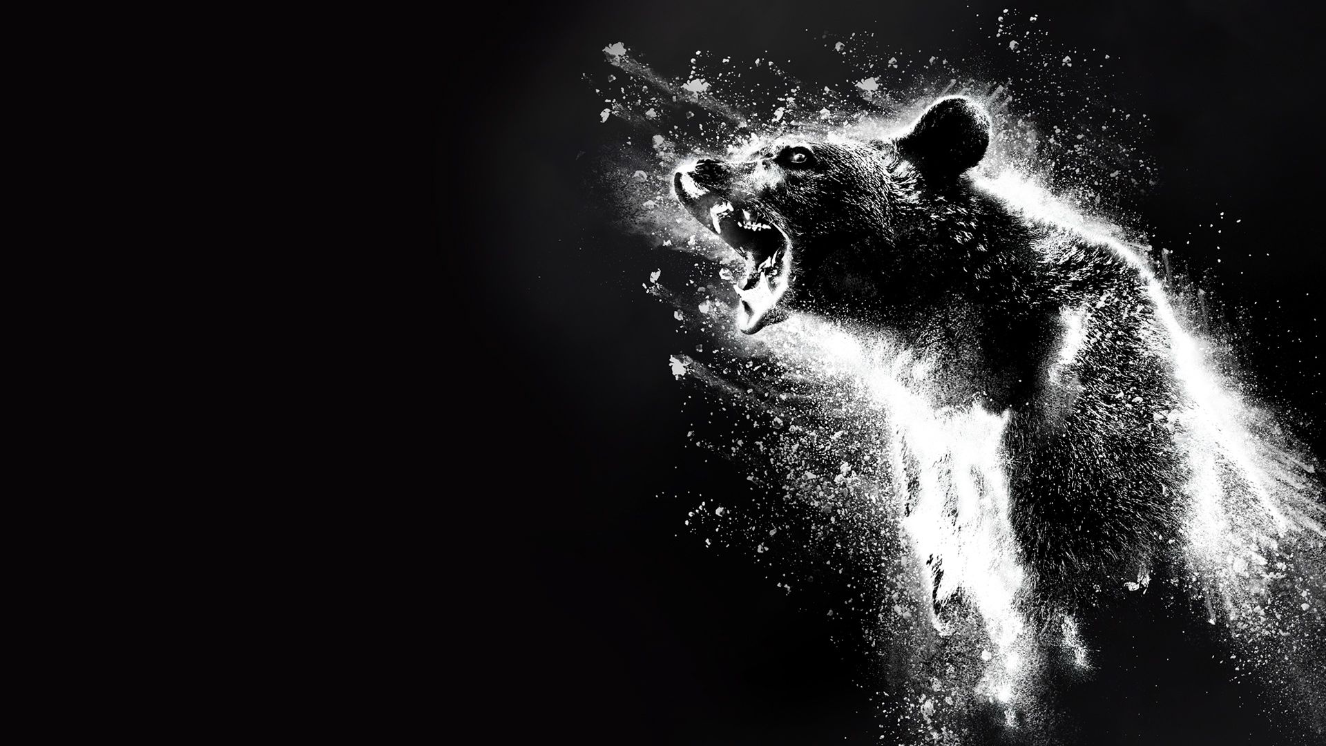 Cocaine Bear