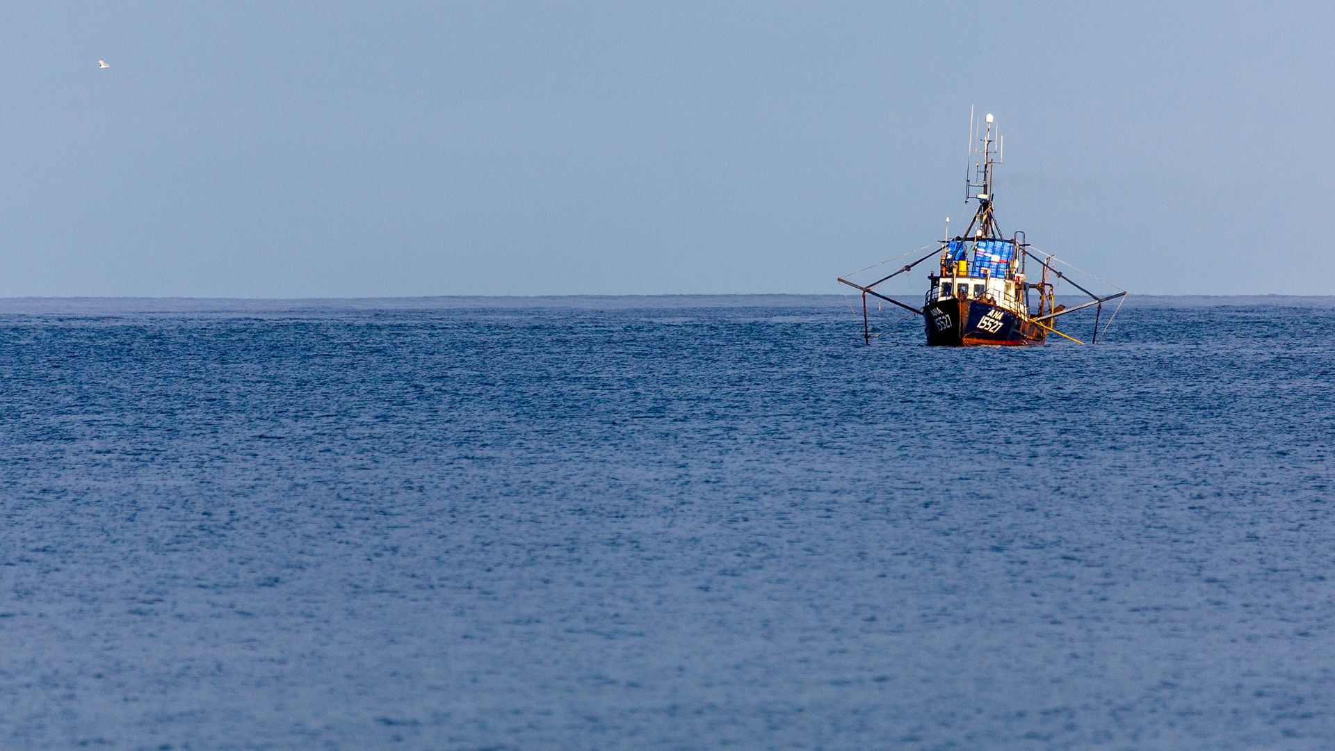 Afrikanische See-Riesen
