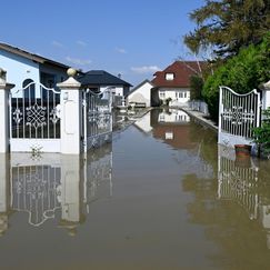 NÖ: Menschen fordern Umsiedelungen