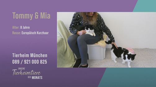 Unsere Tierheimtiere des Monats Unsere Tierheimtiere des Monats Folge 32: Duo Mia & Tommy auf der Suche nach einem ruhigen Zuhause
