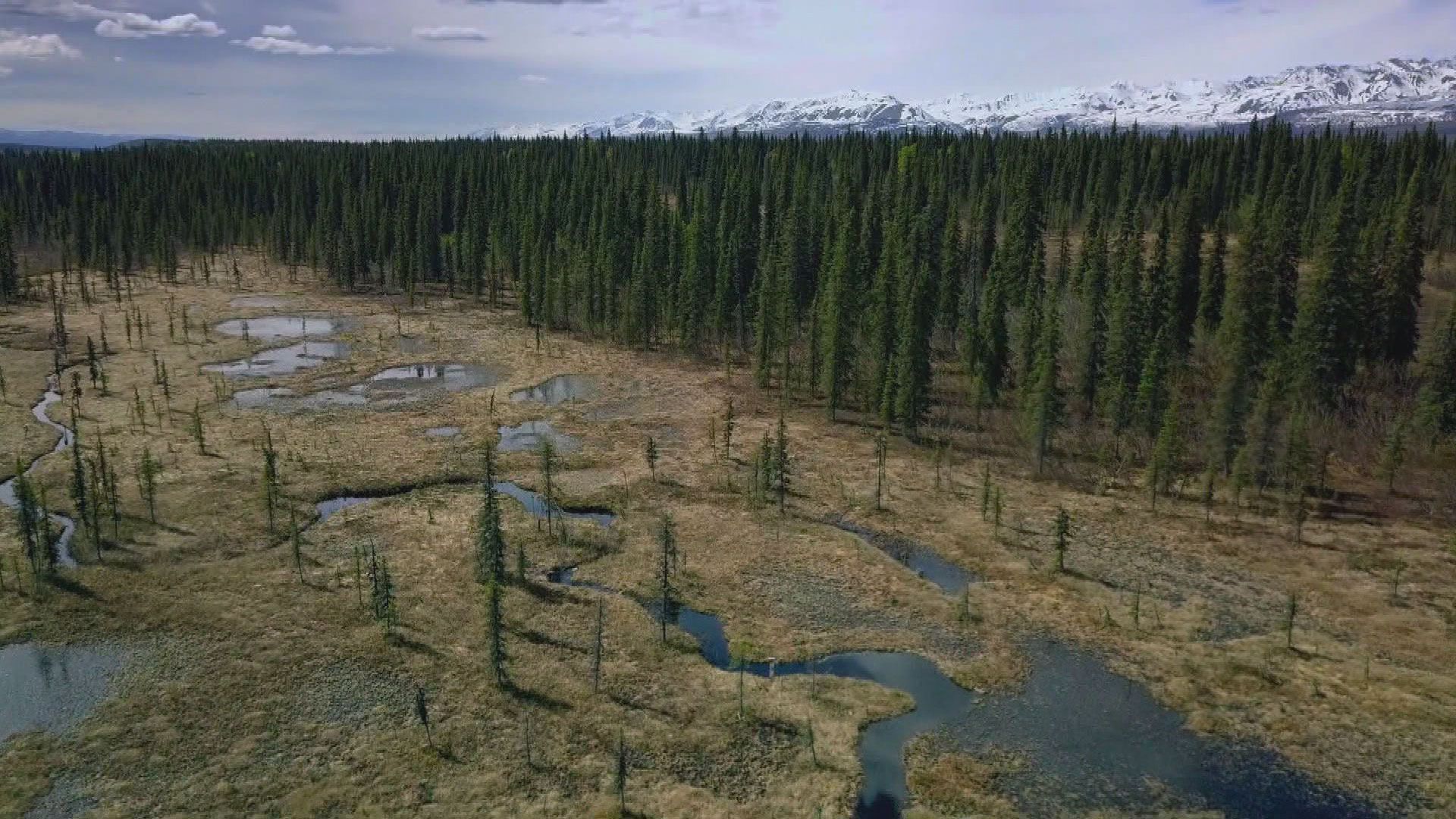 Die vergessene Welt Alaskas