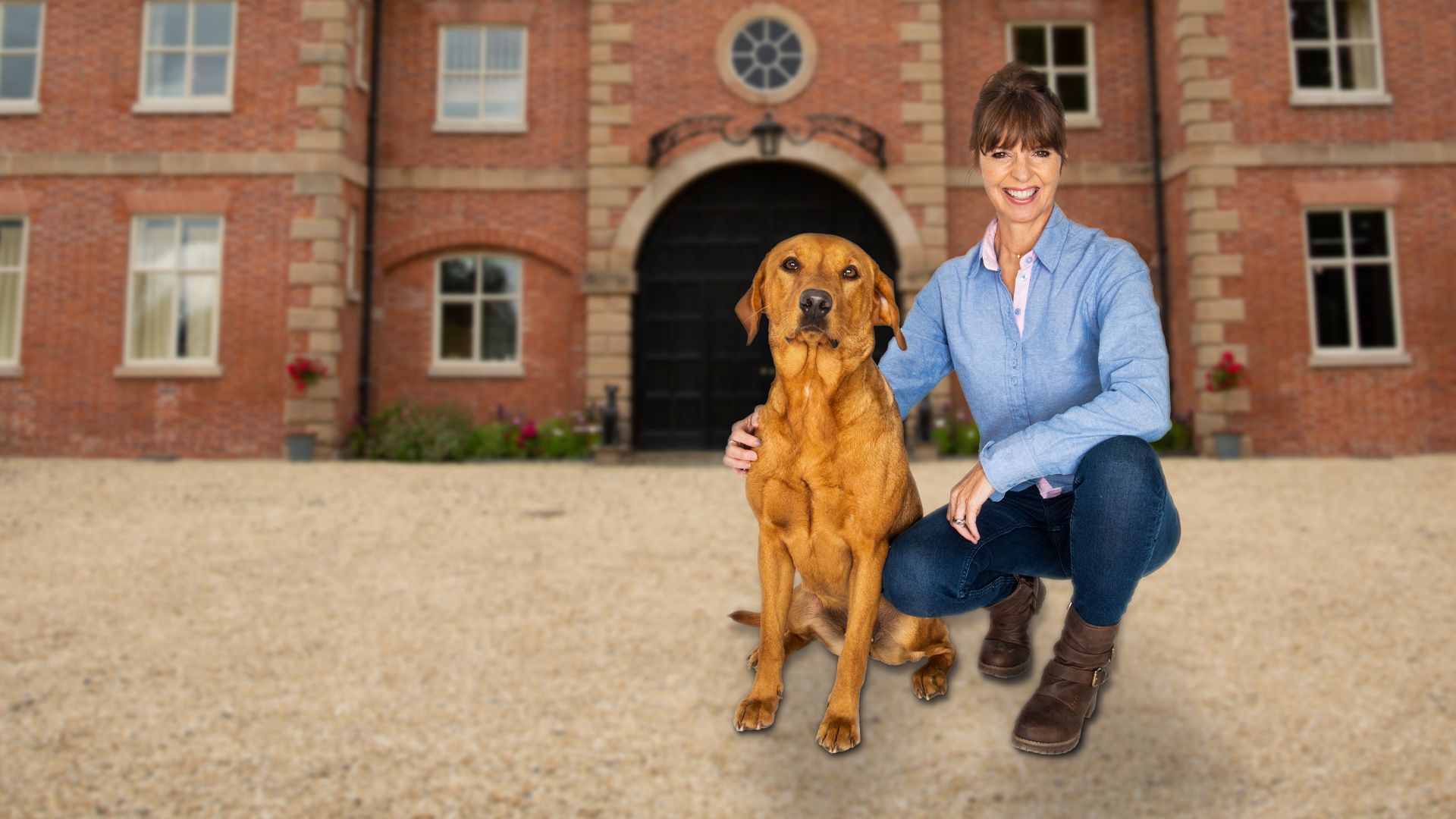 Unsere Hundeschule