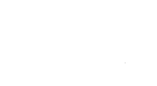 Love Coach Robert Nissel