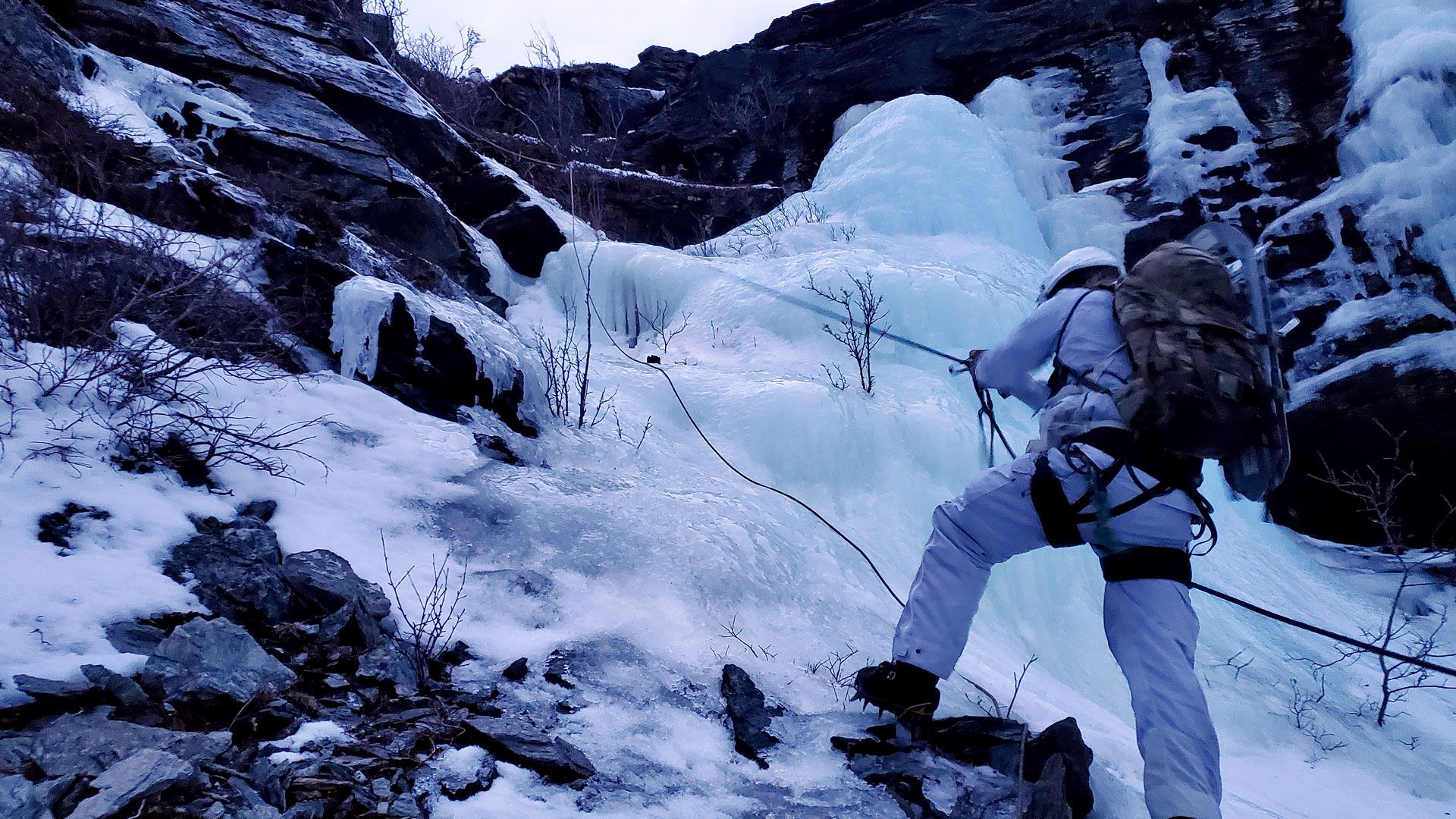 The Arctic