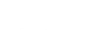 Mister Perfect - Der MännerTest