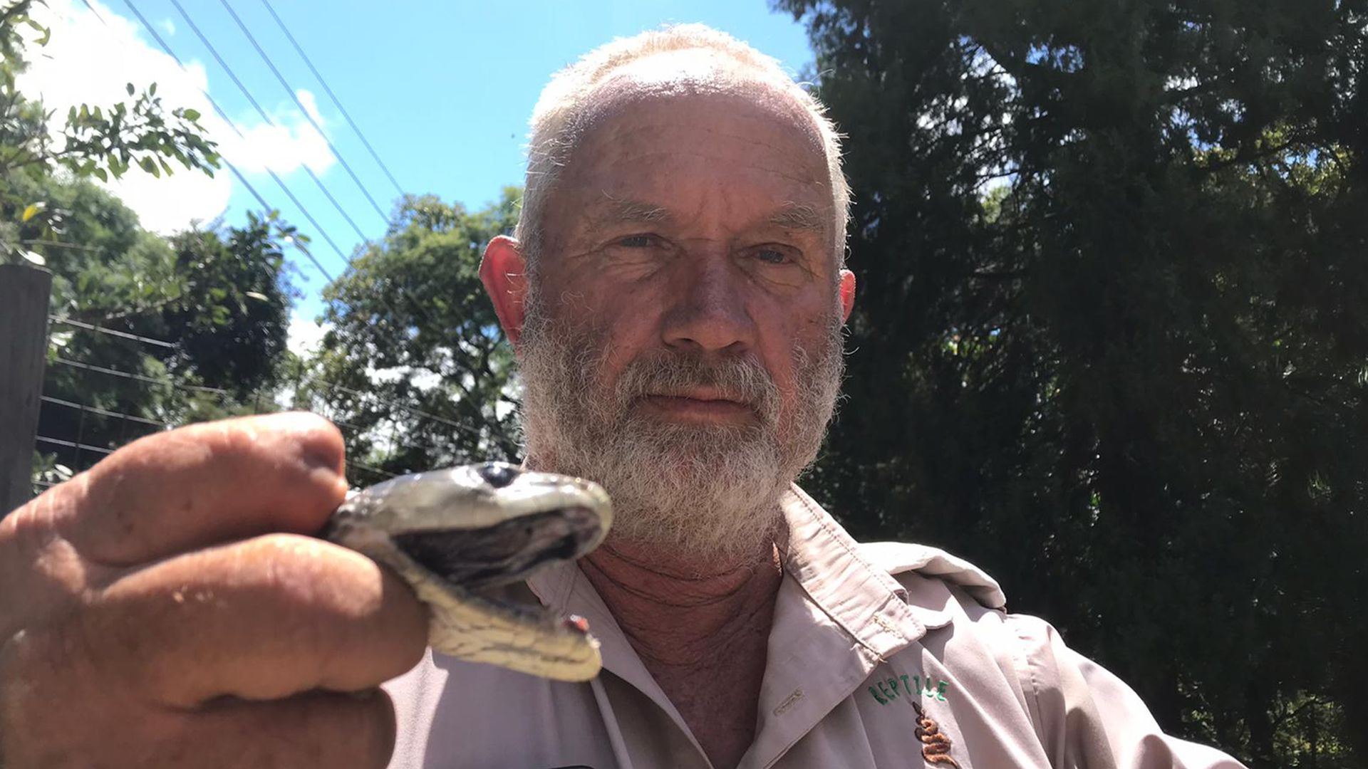 Der Schlangenmann ist auf Jagd! Sein Ziel: die Schwarze Mamba