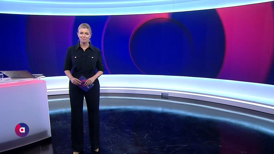 PULS 4 Aktuell 29.04.2025