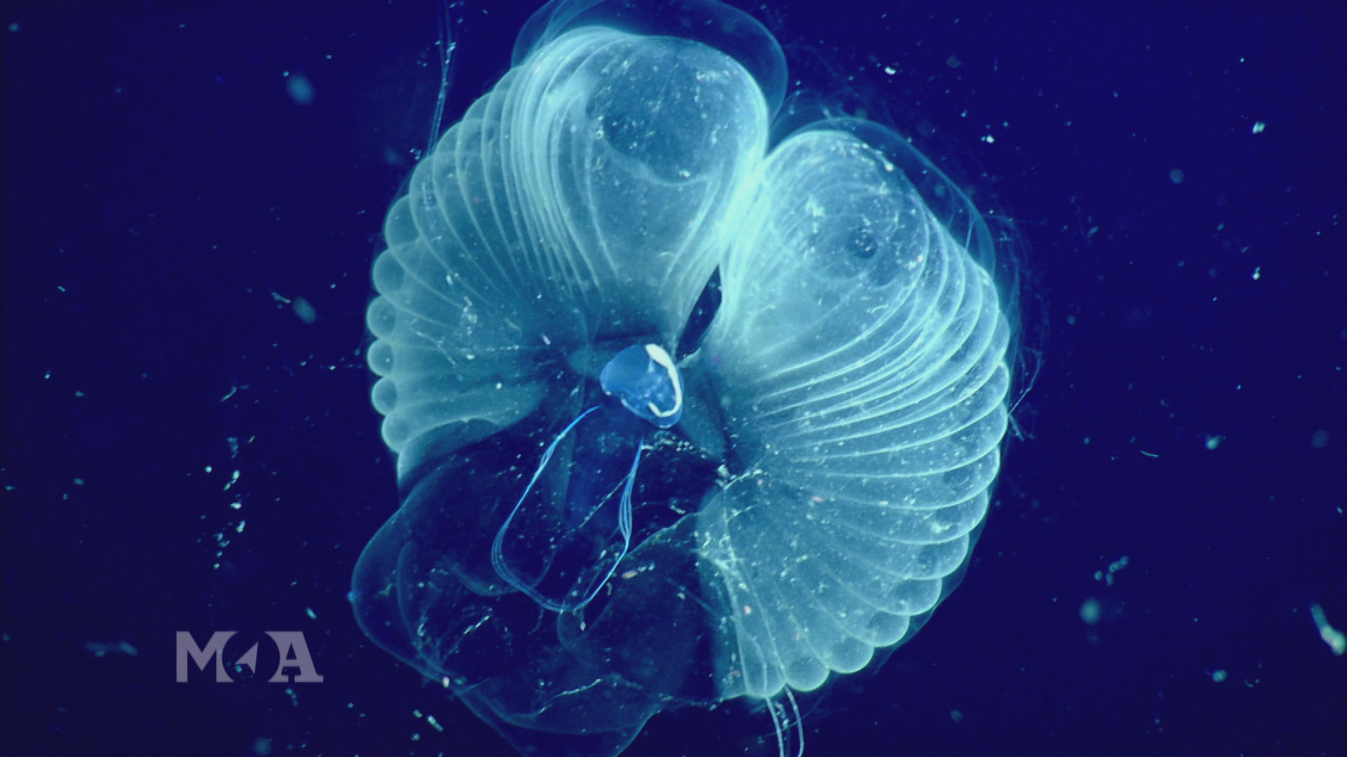 Geheimnisvolle Ozeane