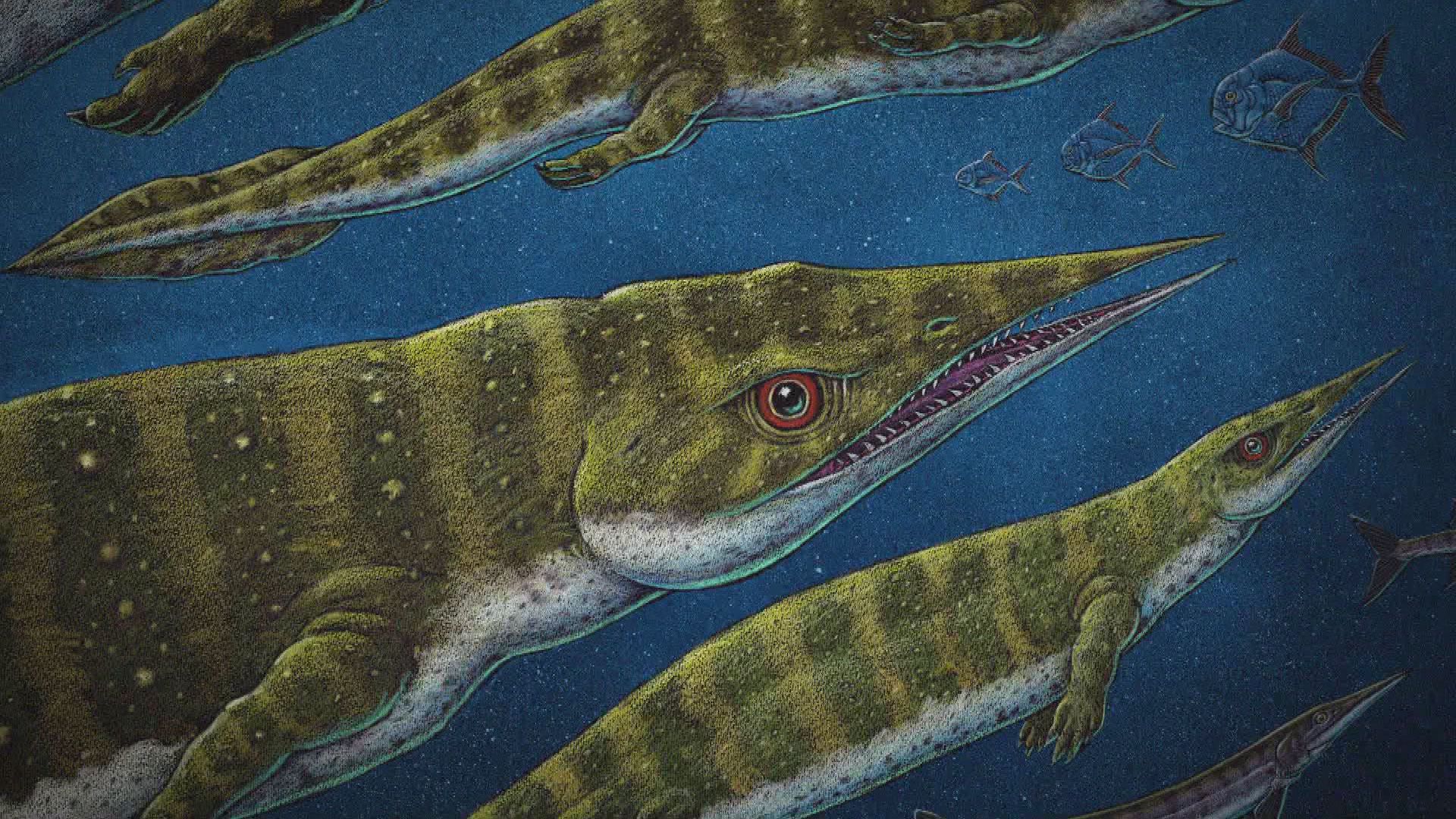 Das Rätsel der Meeresdinosaurier