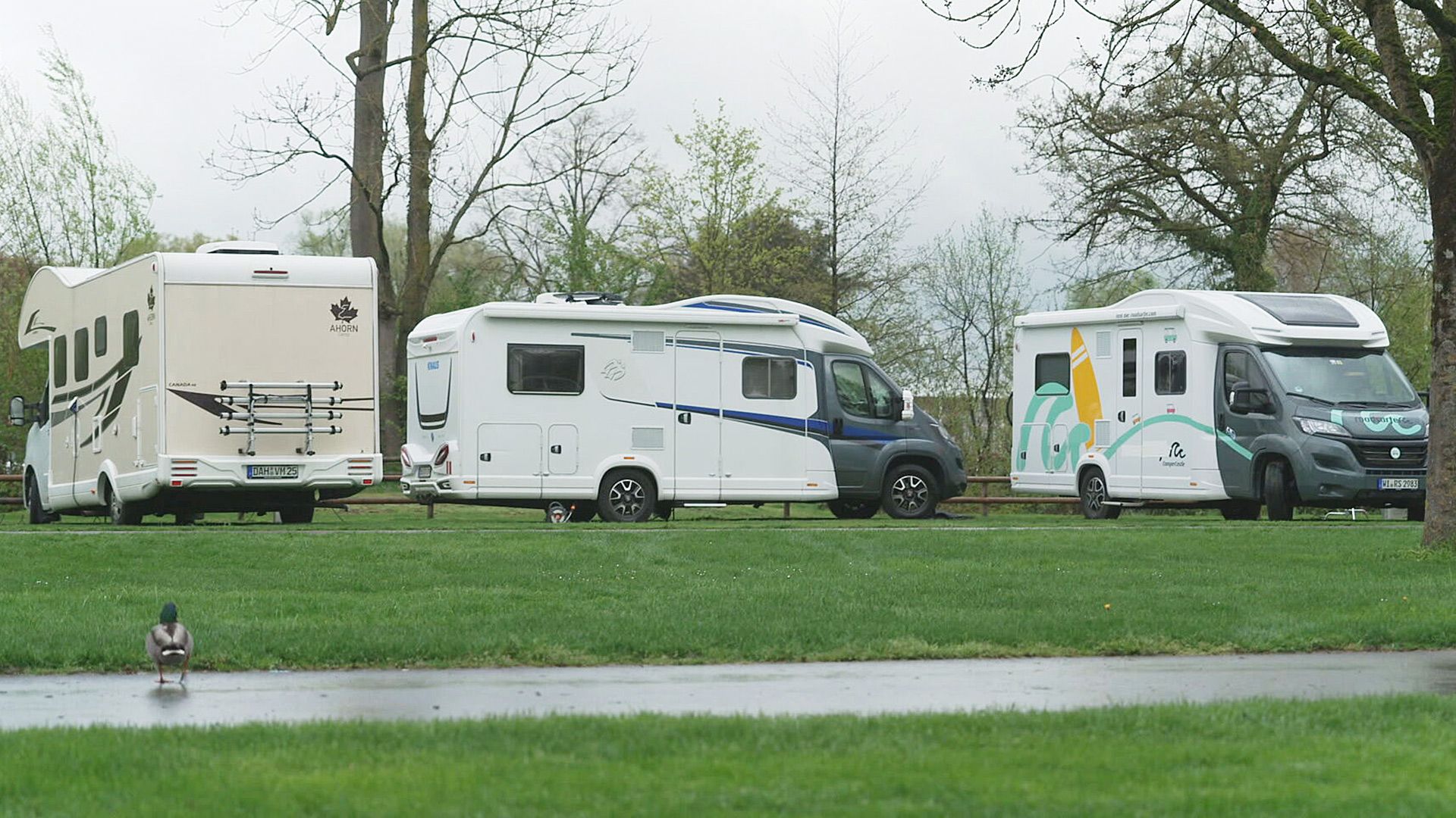 Der große Camper-Miet-Check