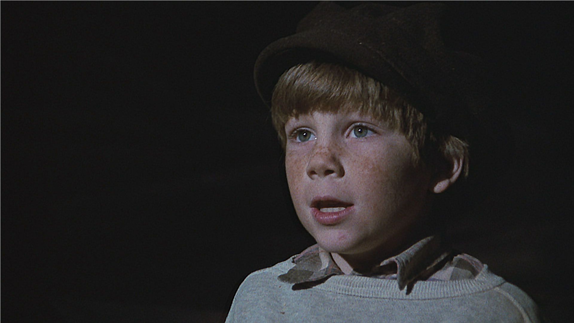 Ein Zuhause für Stevie