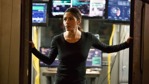 Person of Interest Person of Interest Folge 13: Beenden