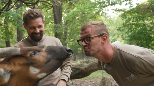 Joko & Klaas im Zoo Joko & Klaas im Zoo Folge 3: Bongos, Basilisken und Top 5 der Tiere