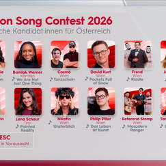 Wer tritt für Österreich beim ESC 2026 an?
