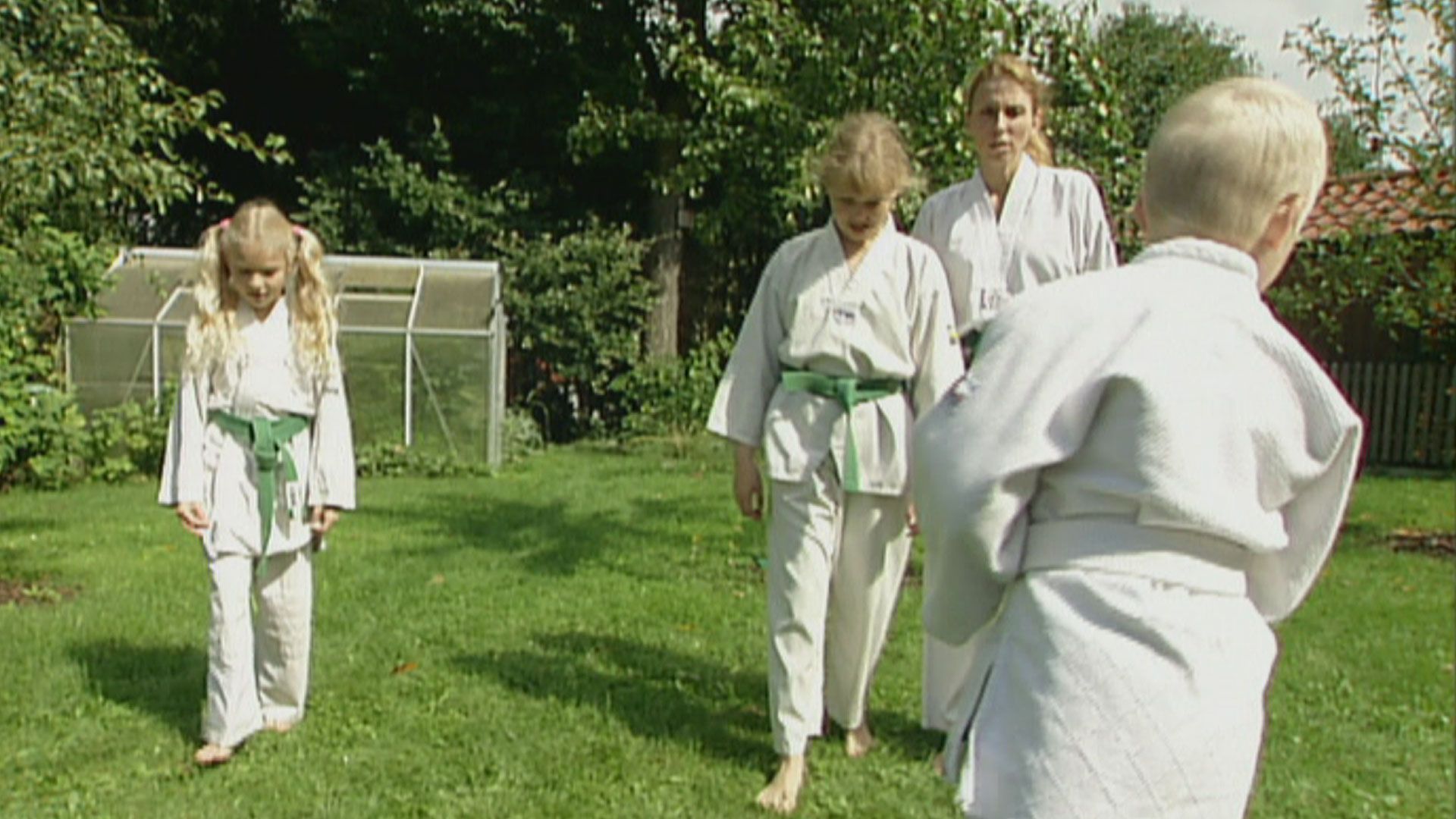 Die Taekwondo-Familie