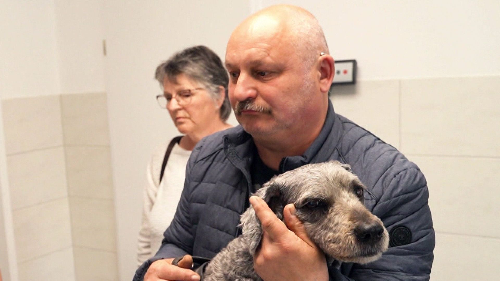 Voller Tag für Tierarzt Ekkehart Stamnitz