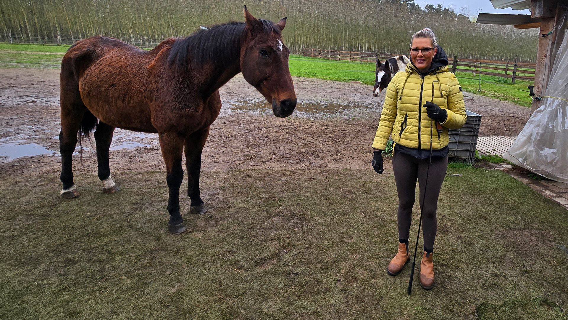 Thema u.a.: Pferdeflüsterin rettet Tiere - Von der Schlachtbank zum neuen Leben!