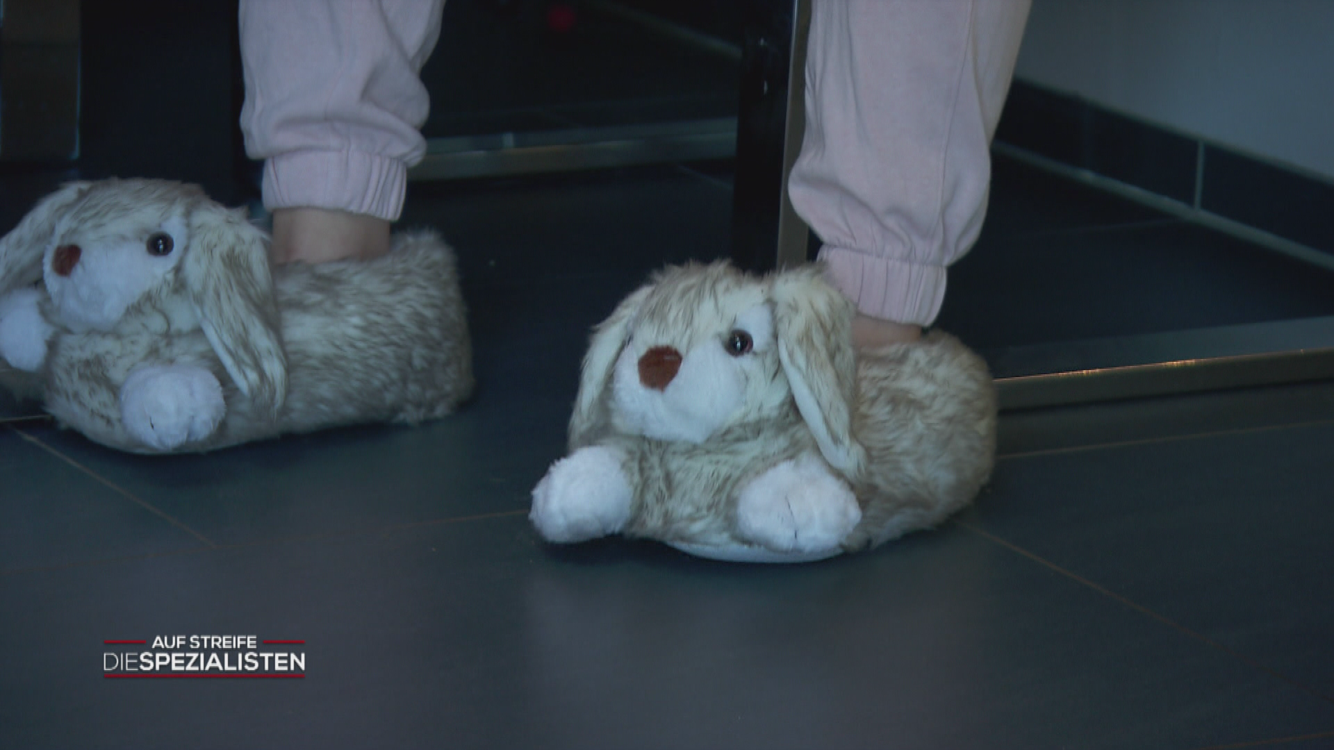 Ist die Katze aus dem Haus - Tanzen die Mäuse auf dem Tisch