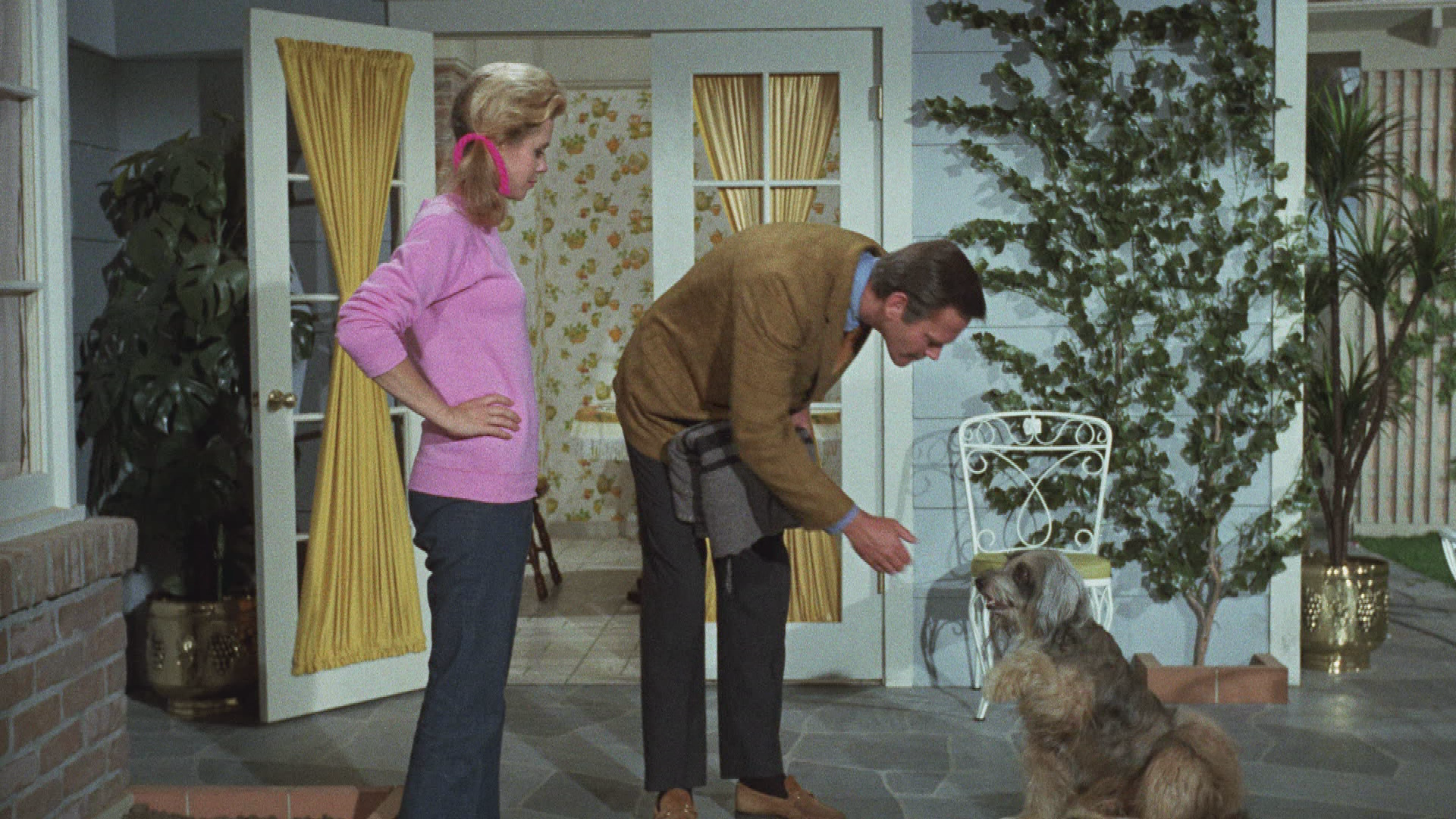 Auf den Hund gekommen