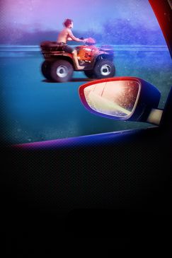 Verrückte Festnahmen