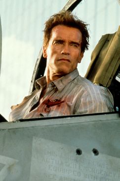 True Lies - Wahre Lügen