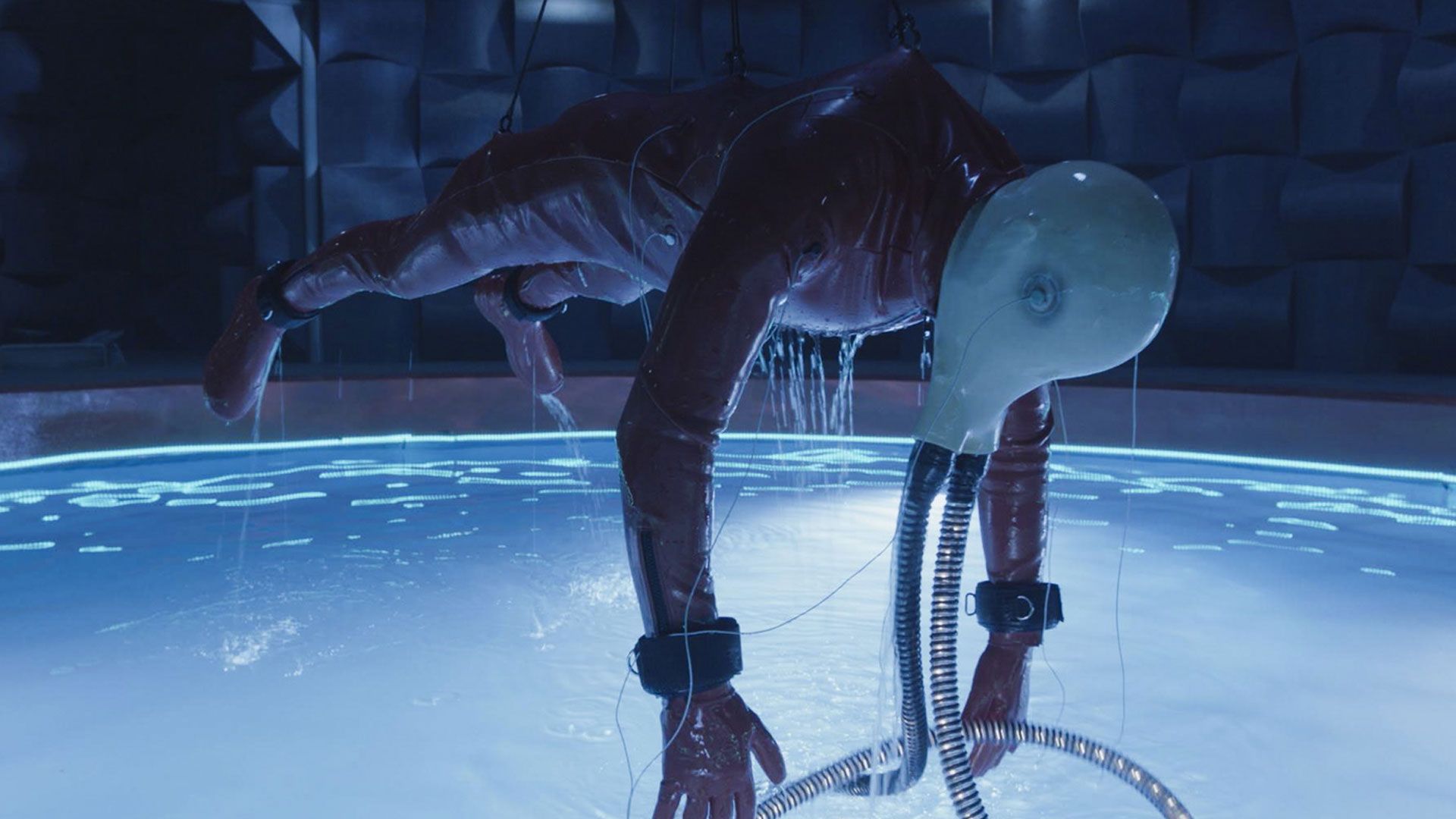 Der gigantische Kokon