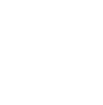 Velvet