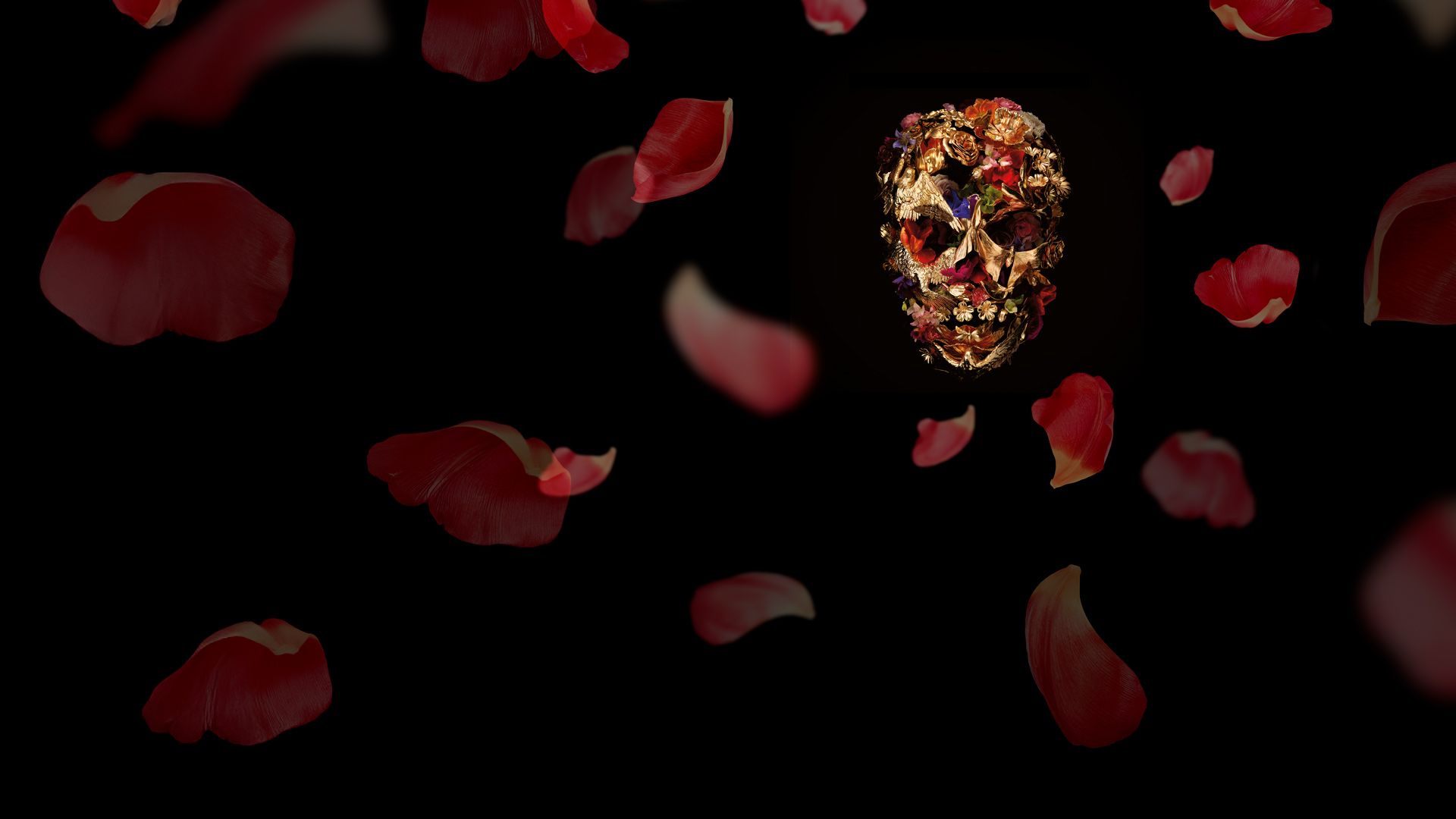 Alexander McQueen - Der Film