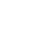 Wer stiehlt mir die Show? Best Of