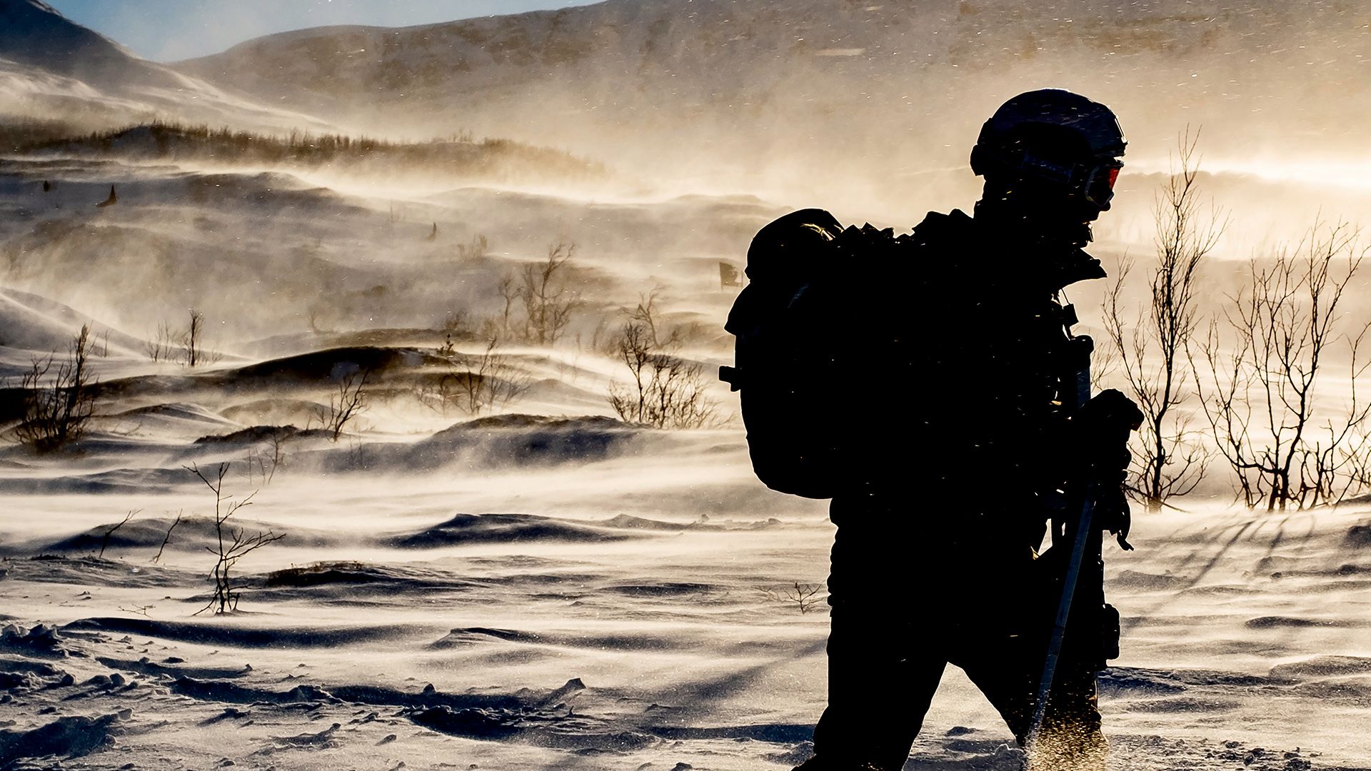 Royal Marines: Spezialeinheit hautnah