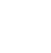Inside GSG 9