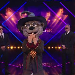 Enthüllung: Dieser Schauspieler hat als Harry Otter verzaubert