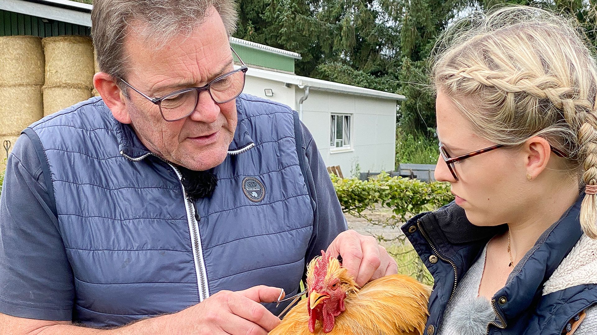 Tara-Tierhilfe: Stippvisite bei geretteten Nutztieren