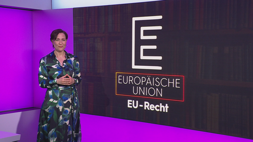 Das große Ganze Das große Ganze - Staffel 1 Folge 16: E - EU Recht