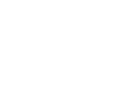 Amore unter Palmen