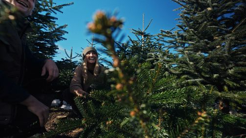 hektar Shots Hektar Shots - Staffel 1 Folge 12: Weihnachtseinkäufe: Wie viele Eier macht man im Christbaum-Business?