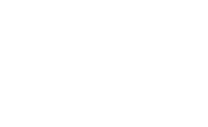 Wounded Birds - Yarali kuslar