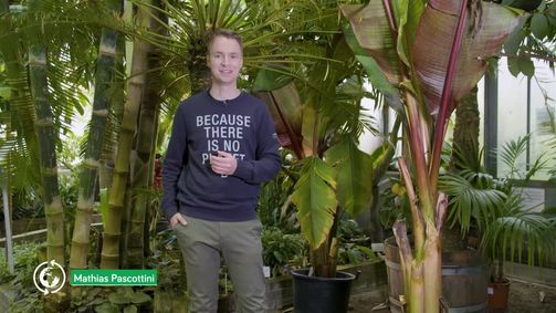 KLIMAHELDiNNEN KLIMAHELDiNNEN - Das Nachhaltigkeits-Magazin - Staffel 1 Folge 325: KLIMAHELDiNNEN - Das Nachhaltigkeits-Magazin vom 20.11.2020
