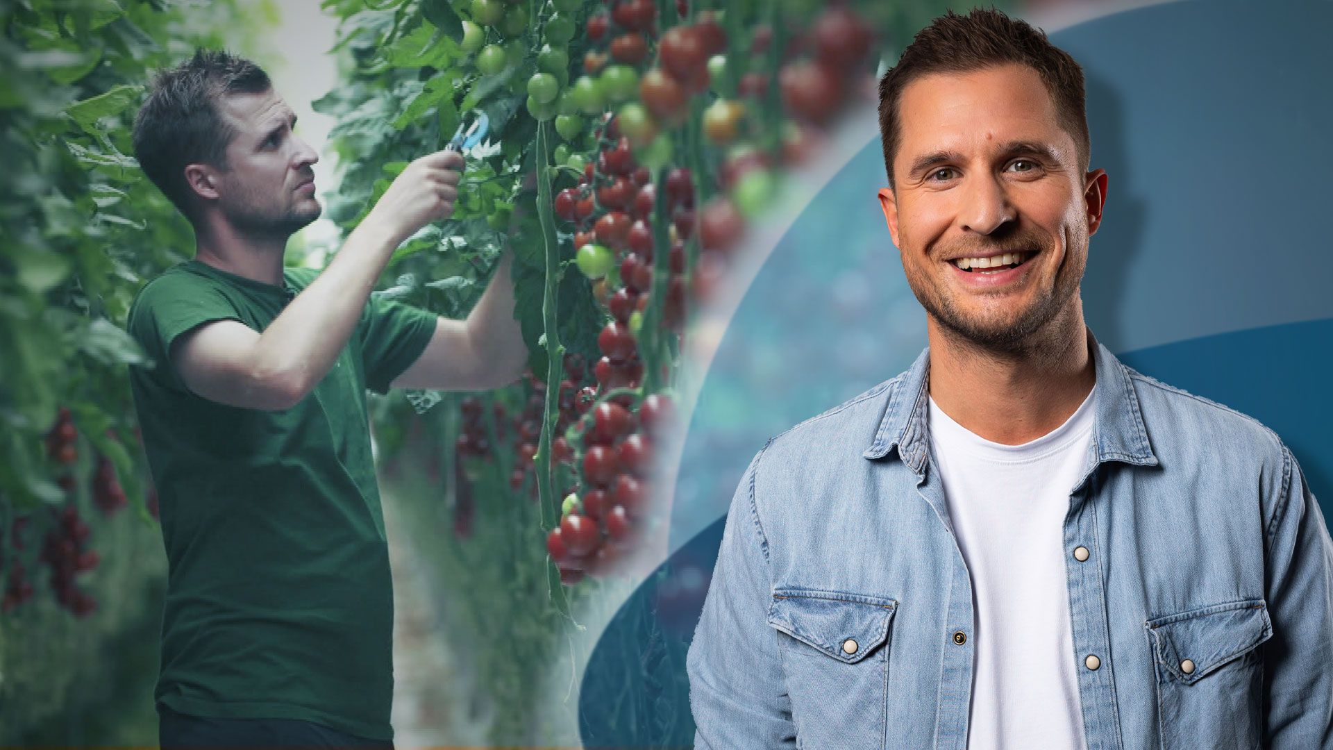 Der Food-Code unserer Lebensmittel: Tomate, Parmesan und Pommes