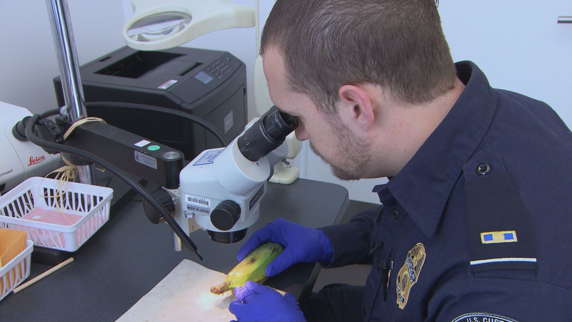 Der Heiratsschwindel