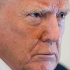 Zu "woke": Trump entzieht Harvard Fördermittel