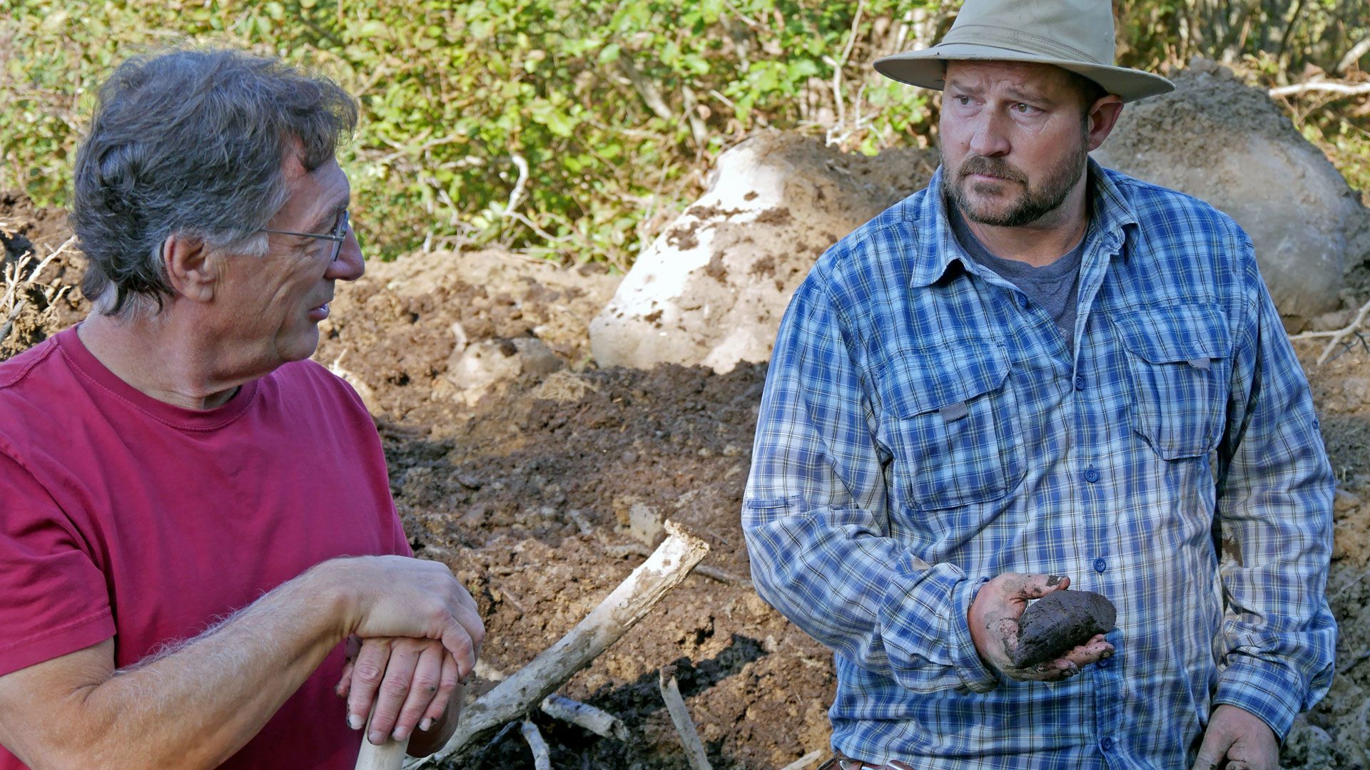 Verbindung zu den Royals