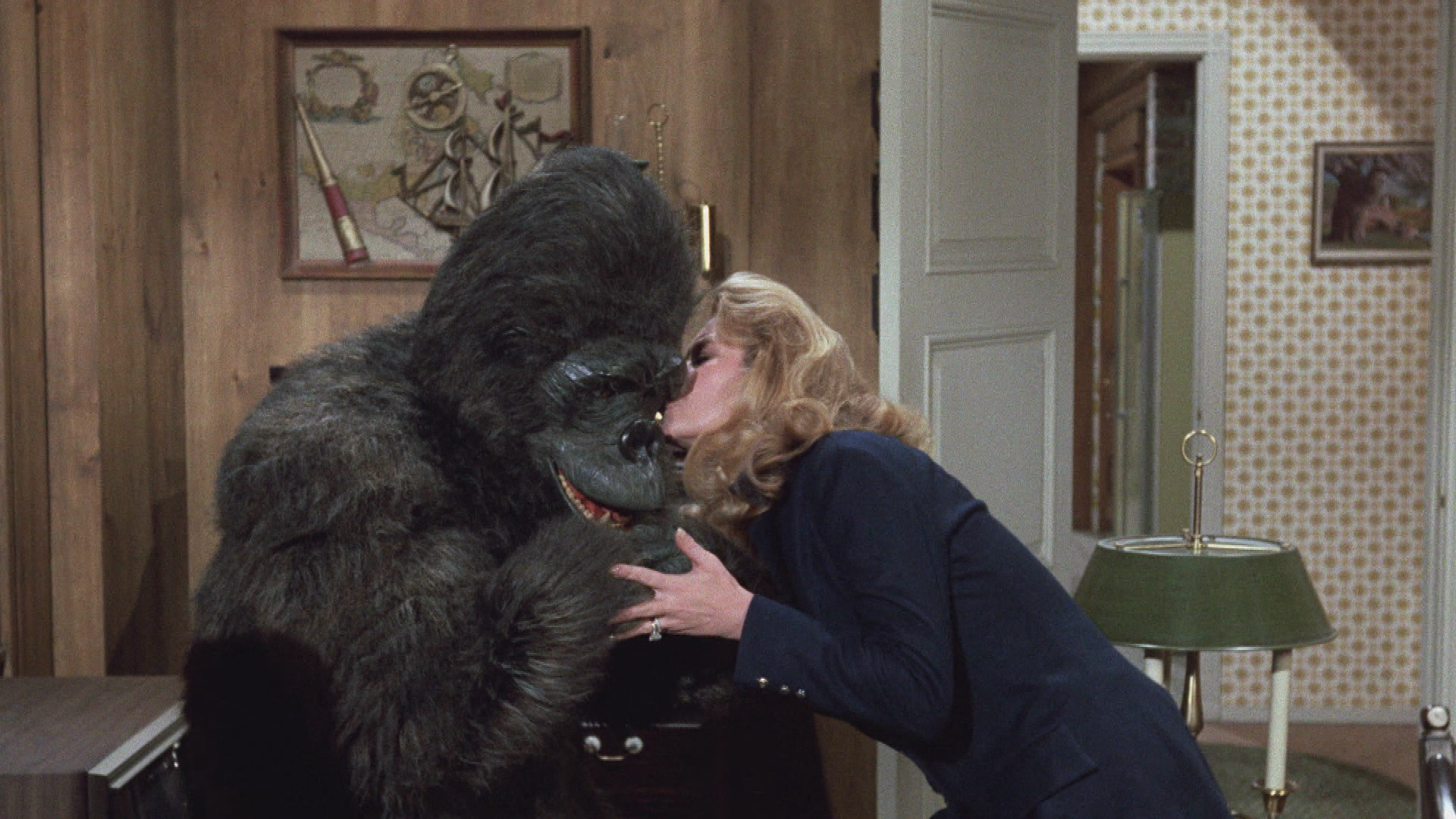 Auch Gorillas sind Menschen