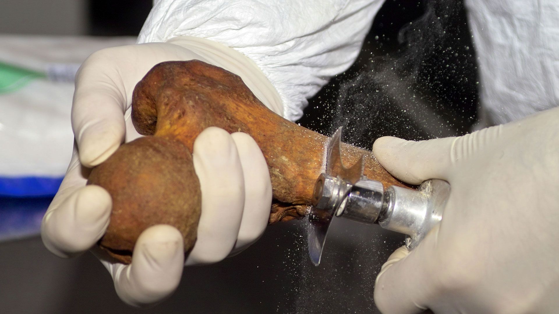 Piratengold, Flüche und Feensärge