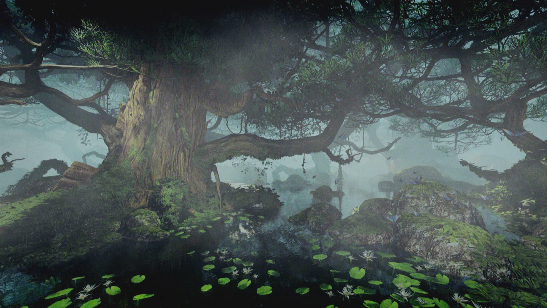 Video Hintergrund