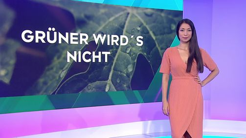 KLIMAHELDiNNEN KLIMAHELDiNNEN - Das Nachhaltigkeits-Magazin - Staffel 3 Folge 201: Zu Besuch bei einem Plantfluencer