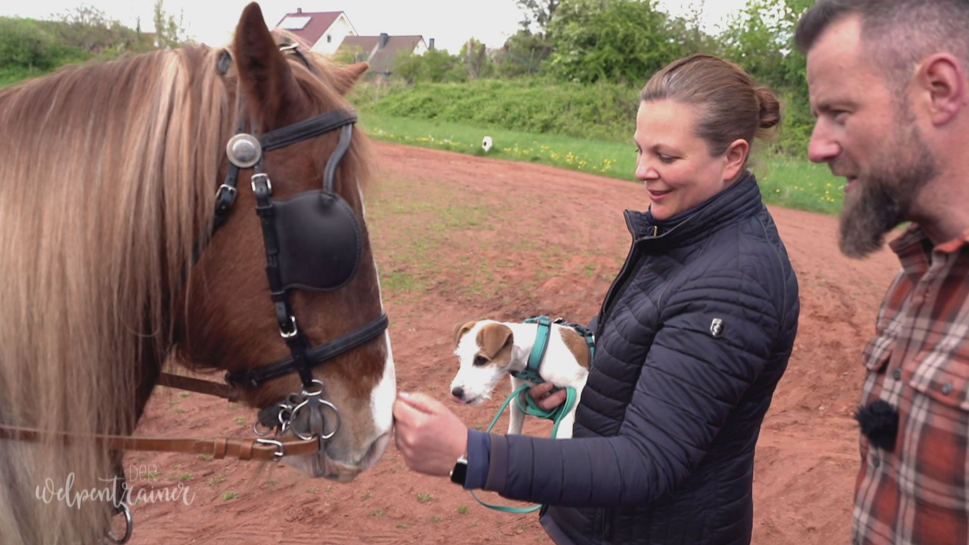 Tierische Begegnungen