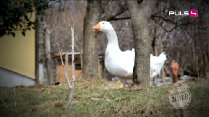 Koch mit! Oliver vom 25.10.2014