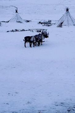 Verborgen im Eis: Geheimnisse aus der Vergangenheit